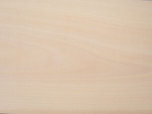 Flexible White Beech Wood Veneer