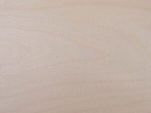 Iron on Birch Wood Veneer 100x10