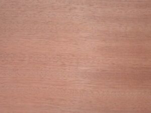 Iron on Mahogany Wood Veneer 100 x 10